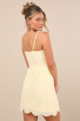 Modern Romantic Light Yellow Eyelet Lace Mini Dress