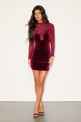 Irresistible Details Burgundy Velvet Mesh Long Sleeve Mini Dress