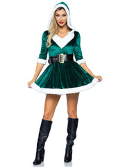 Mrs Claus Costume
