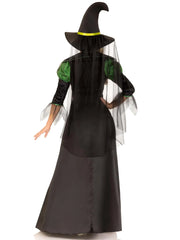 Storybook Witch Costume